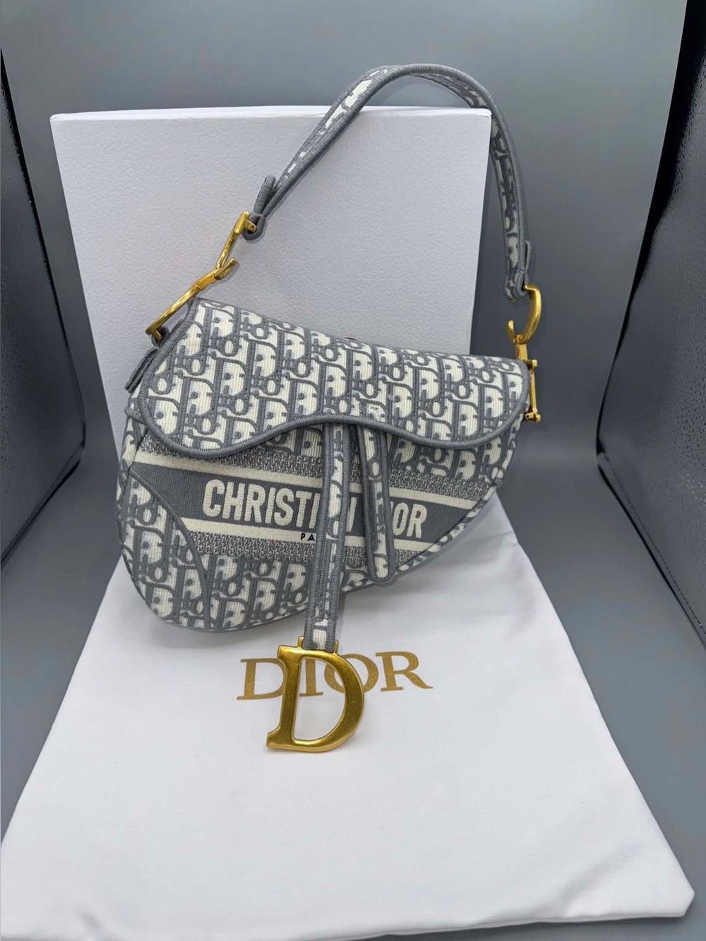 Classic Dior saddle silhouette